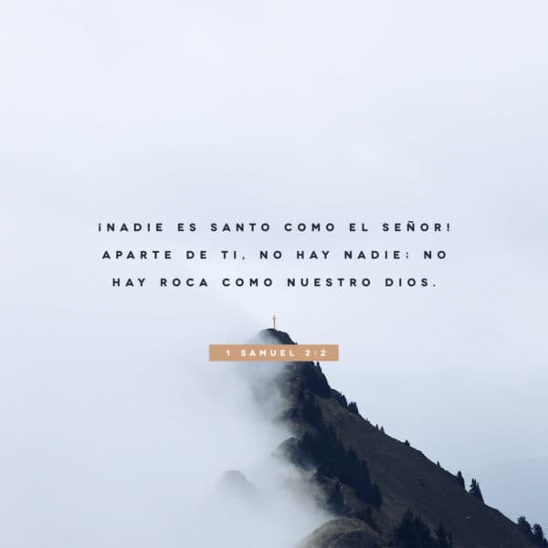 ¡Nadie es santo como el Señor! Aparte de ti, no hay nadie; no hay Roca como nuestro Dios. - 1 Samuel 2:2
