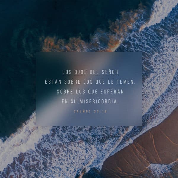 Los ojos del Señor están sobre los que le temen, sobre los que esperan en su misericordia. - Salmos 33:18