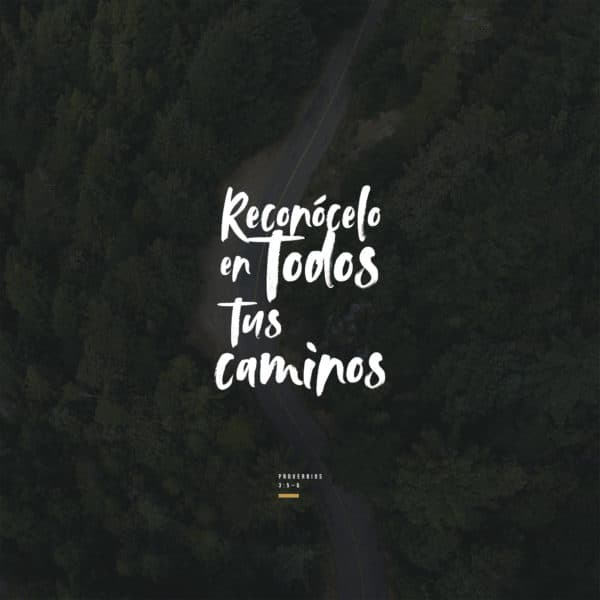 Reconócelo en todos tus caminos. - Proverbios 3:5-6
