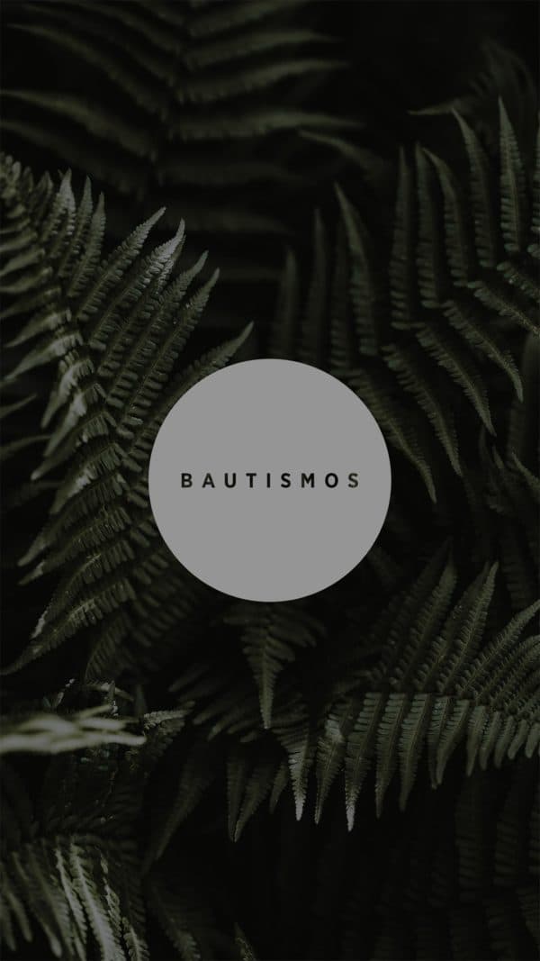 Bautismos