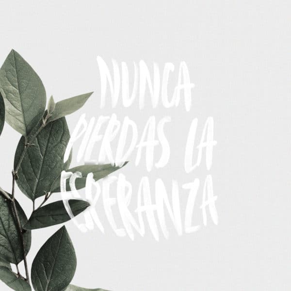 Nunca pierdas la esperanza.