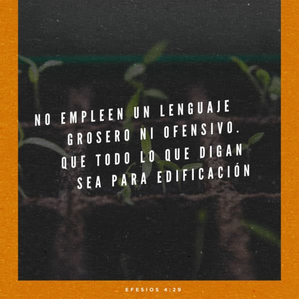 No empleen un lenguaje grosero ni ofensivo. Que todo lo que digan sea para edificación. - Efesios 4:29