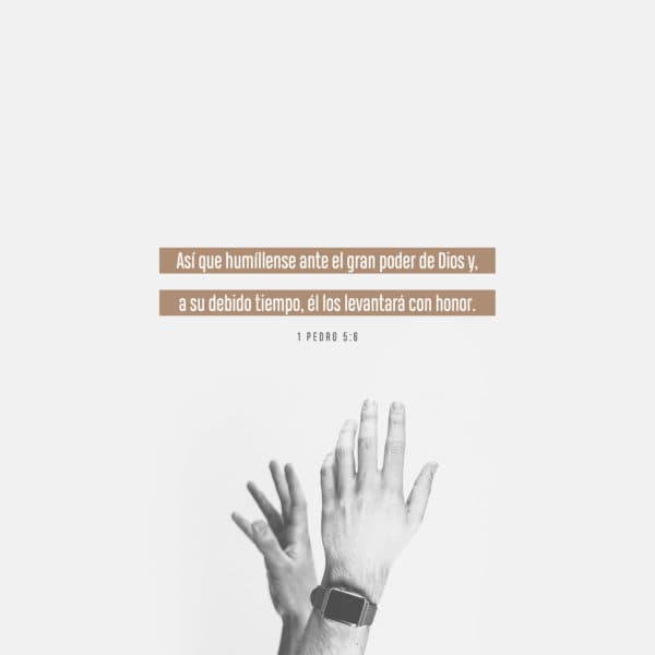 Así que humíllense ante el gran poder de Dios y, a su debido tiempo, él los levantará con honor. - 1 Pedro 5:6