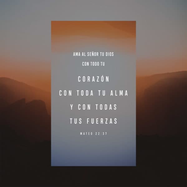 Ama al Señor tu Dios con todo tu corazón, con toda tu alma y con todas tus fuerzas. - Mateo 22:37