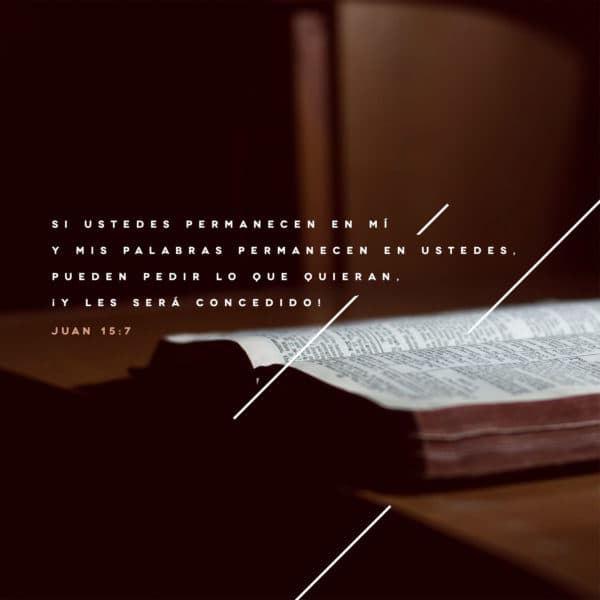 Si ustedes permanecen en mí y mis palabras permanecen en ustedes, pueden pedir lo que quieran, ¡y les será concedido! - Juan 15:7