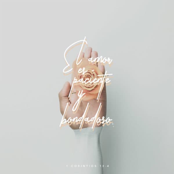 El amor es paciente y bondadoso. - 1 Corintios 13:4