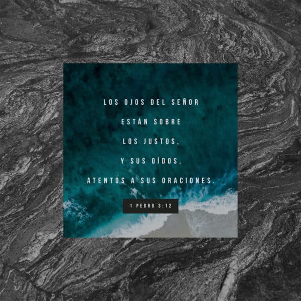 Los ojos del Señor están sobre los justos, y sus oídos, atentos a sus oraciones. - 1 Pedro 3:12