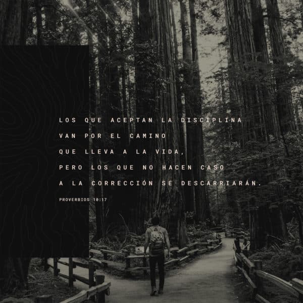 Los que aceptan la disciplina van por el camino que lleva a la vida, pero los que no hacen caso a la corrección se descarriarán. - Proverbios 10:17