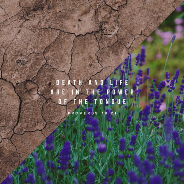 Death and life are in the power of the tongue. - Proverbs 18:21
