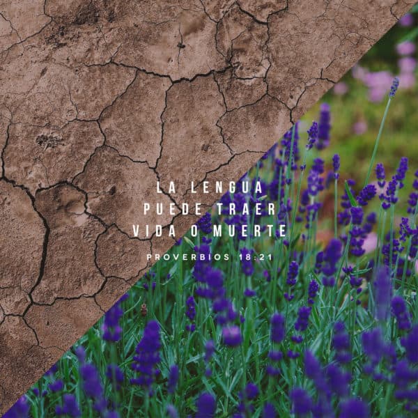 La lengua puede traer vida o muerte. - Proverbios 18:21