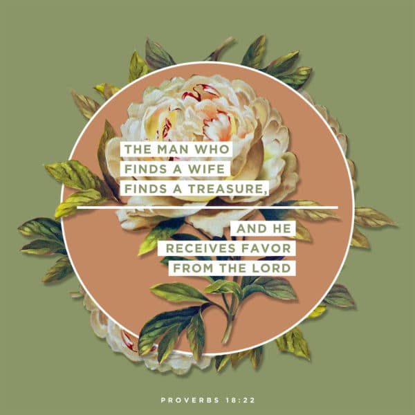 The man who finds a wife finds a treasure, and he receives favor from the LORD. - Proverbs 18:22