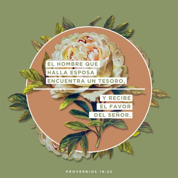 El hombre que halla esposa encuentra un tesoro, y recibe el favor del Señor. - Proverbios 18:22