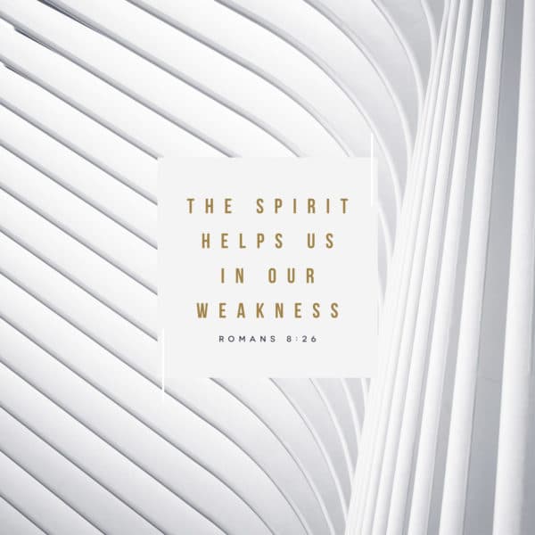 The Spirit helps us in our weakness. - Romans 8:26