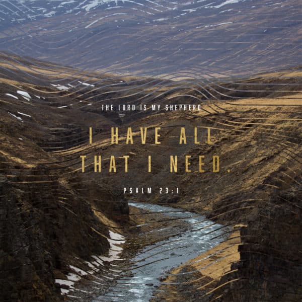 The LORD is my shepherd; I have all that I need. - Psalm 23:1