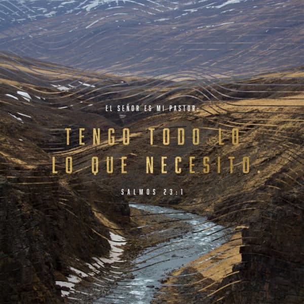 El Señor es mi pastor; tengo todo lo que necesito. - Salmos 23:1