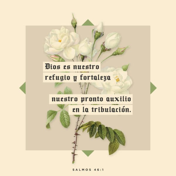 Dios es nuestro refugio y fortaleza, nuestro pronto auxilio en la tribulación. - Salmos 46:1