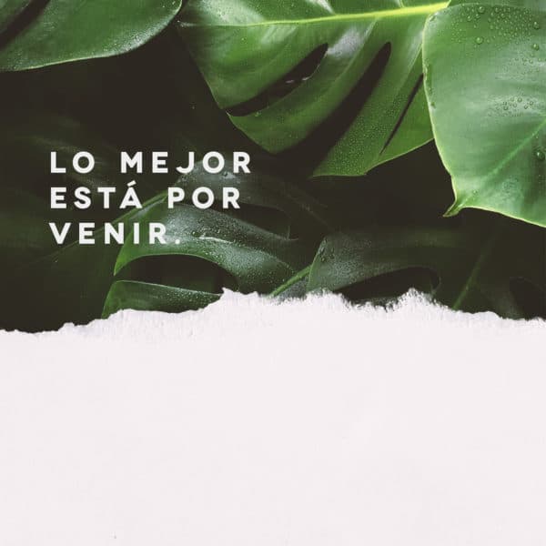 Lo mejor está por venir.