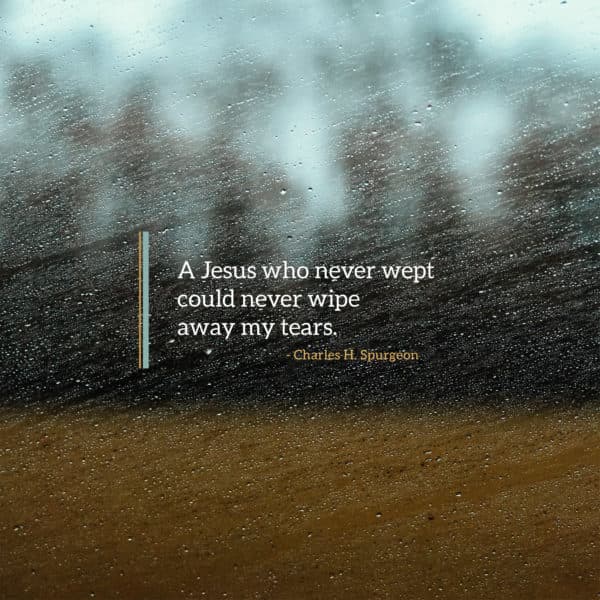 A Jesus who never wept could never wipe away my tears. - Charles H. Spurgeon