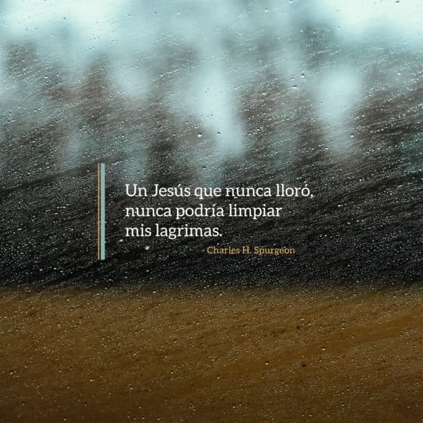 Un Jesús que nunca lloró, nunca podría limpiar mis lagrimas. - Charles H. Spurgeon