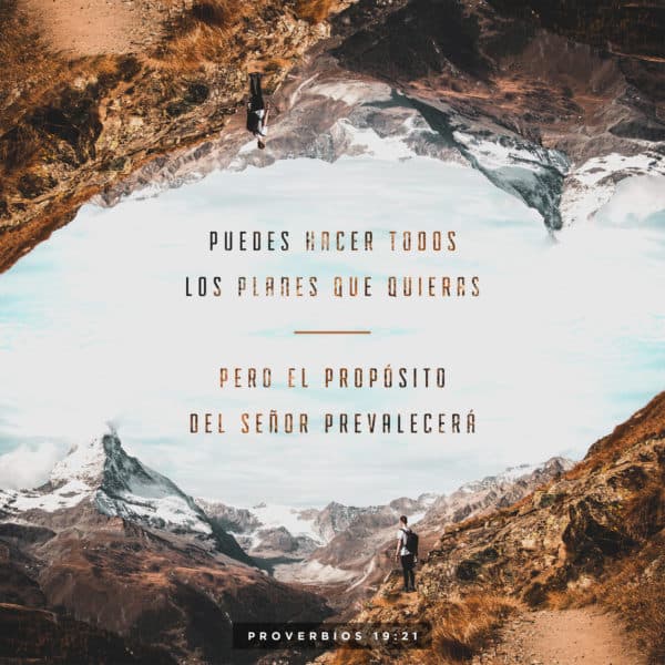 Puedes hacer todos los planes que quieras, pero el propósito del Señor prevalecerá. - Proverbios 19:21