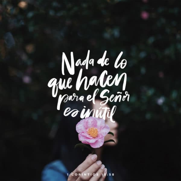 Nada de lo que hacen para el Señor es inútil. - 1 Corintios 15:58