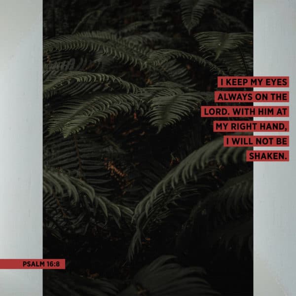 I keep my eyes always on the LORD. With him at my right hand, I will not be shaken. - Psalm 16:8