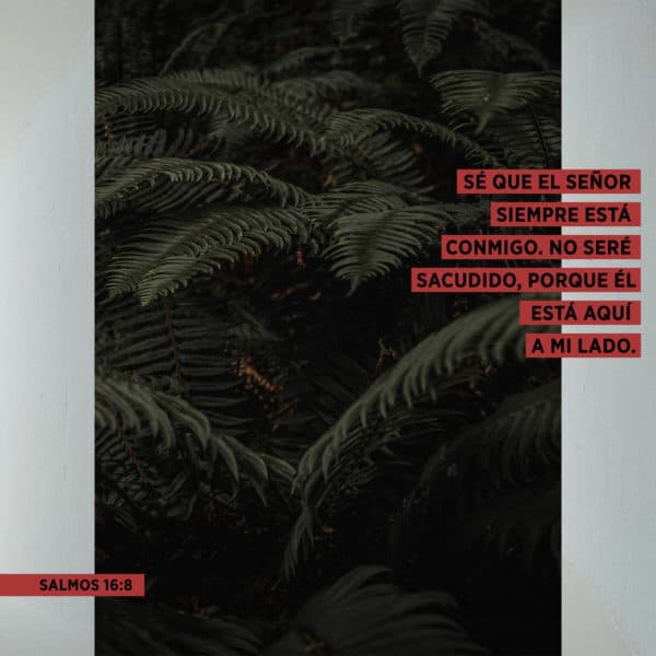 Sé que el Señor siempre está conmigo. No seré sacudido, porque Él está aquí a mi lado. - Salmos 16:8