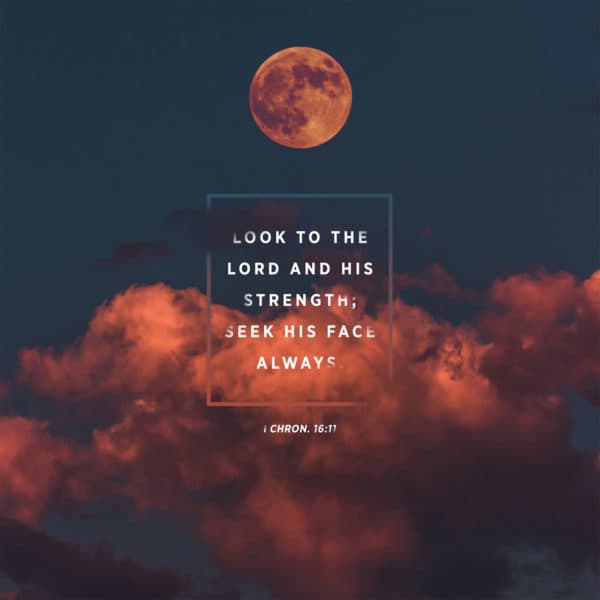 Look to the LORD and his strength; seek his face always. - 1 Chronicles 16:11