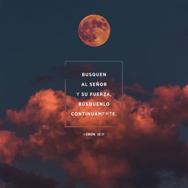 Busquen al Señor y su fuerza, búsquenlo continuamente. - 1 Crónicas 16:11