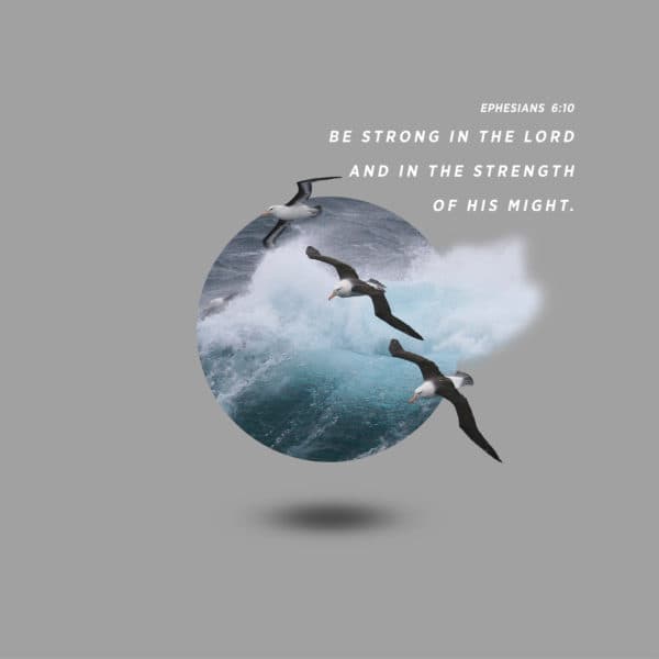 Be strong in the Lord and in the strength of his might. - Ephesians 6:10