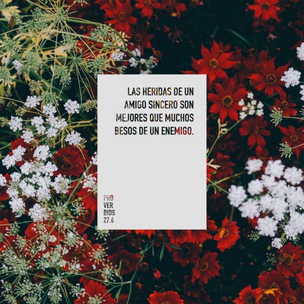Las heridas de un amigo sincero son mejores que muchos besos de un enemigo. - Proverbios 27:6