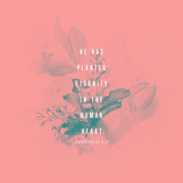 He has planted eternity in the human heart. - Ecclesiastes 3:11