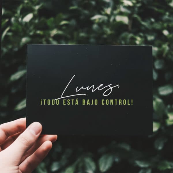Lunes. ¡Todo está bajo control!