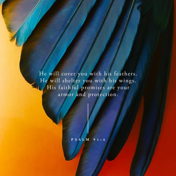 He will cover you with his feathers. He will shelter you with his wings. His faithful promises are your armor and protection. - Psalm 91:4