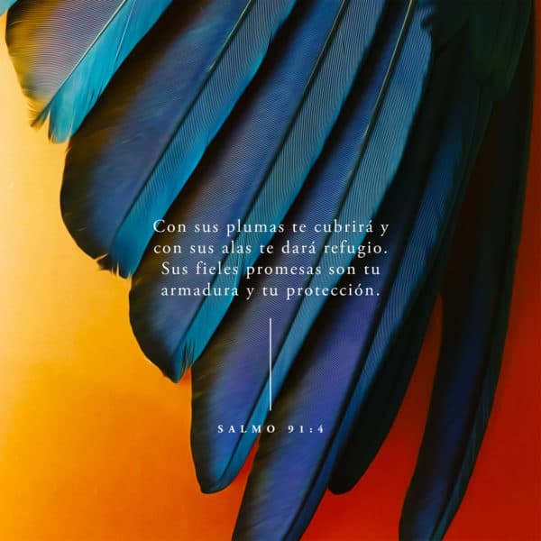 Con sus plumas te cubrirá y con sus alas te dará refugio. Sus fieles promesas son tu armadura y tu protección.