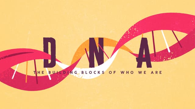 DNA - The building blocks of who we are.