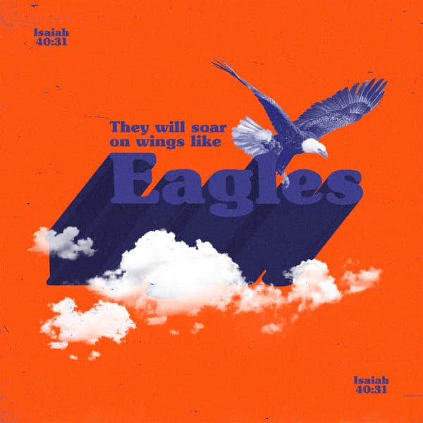 They will soar on wings like eagles. - Isaiah 40:31