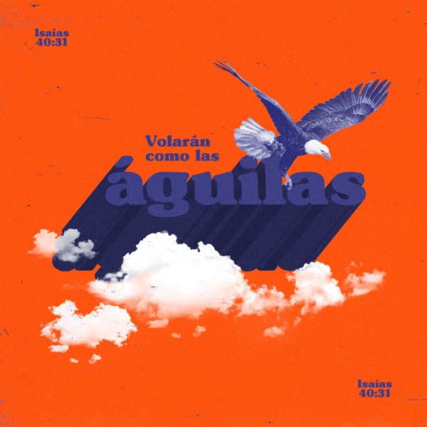 Volarán como las águilas. - Isaías 40:31