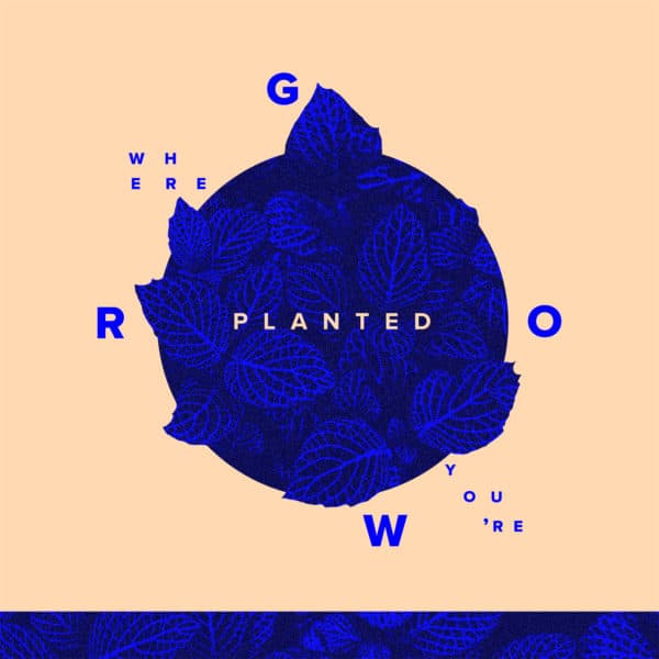 Grow where you're planted