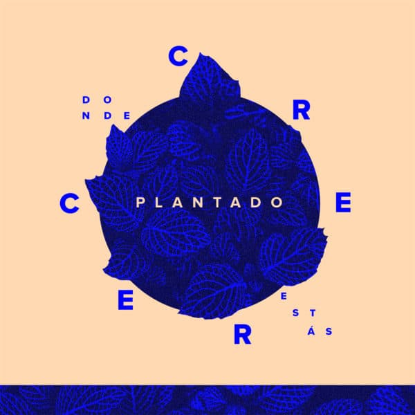 Crecer donde estás plantado