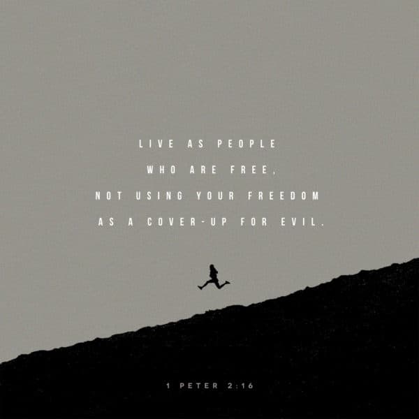 Live as people who are free, not using your freedom as a cover-up for evil. - 1 Peter 2:16