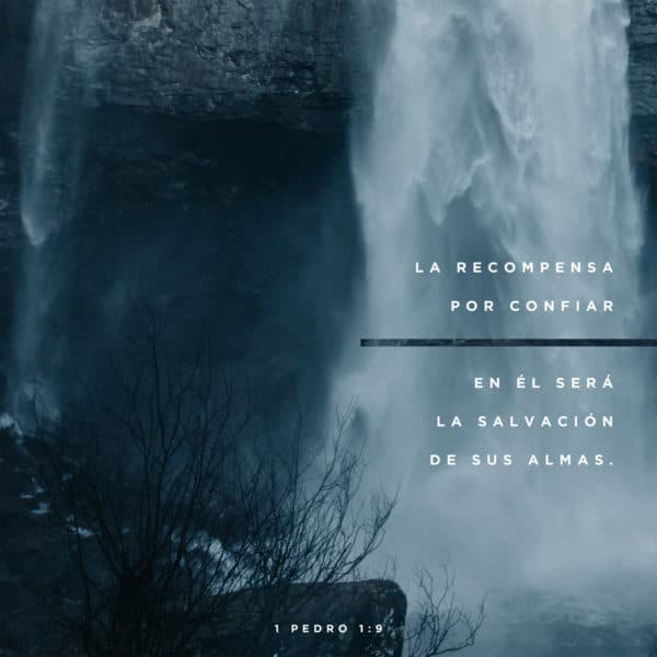 La recompensa por confiar en Él será la salvación de sus almas. - 1 Pedro 1:9