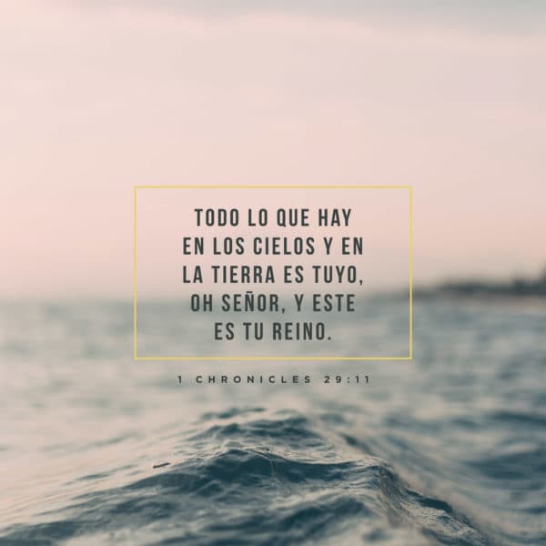 Todo lo que hay en los cielos y en la tierra es tuyo, oh Señor, y este es Tu reino. - 1 Crónicas 29:11