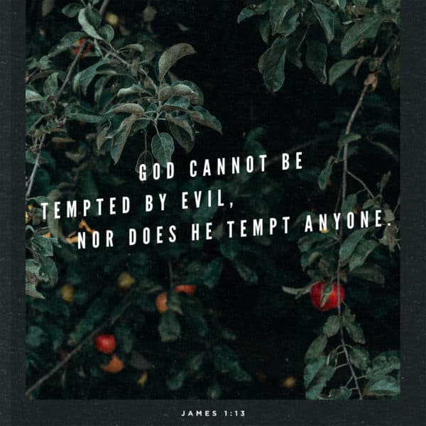 God cannot be tempted by evil, nor does he tempt anyone. - James 1:13
