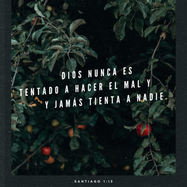 Dios nunca es tentado a hacer el mal y jamás tienta a nadie. - Santiago 1:13