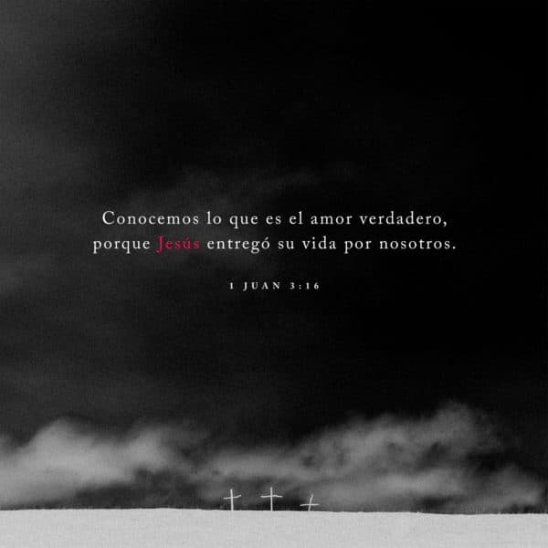 Conocemos lo que es el amor verdadero, porque Jesús entregó su vida por nosotros. - 1 Juan 3:16