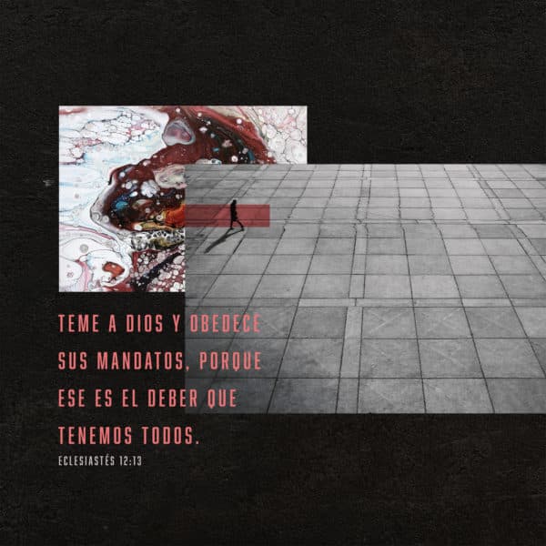 Teme a Dios y obedece sus mandatos, porque ese es el deber que tenemos todos. - Eclesiastés 12:13