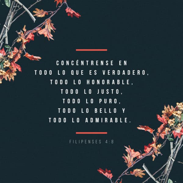 Concéntrense en todo lo que es verdadero, todo lo honorable, todo lo justo, todo lo puro, todo lo bello y todo lo admirable. - Filipenses 4:8
