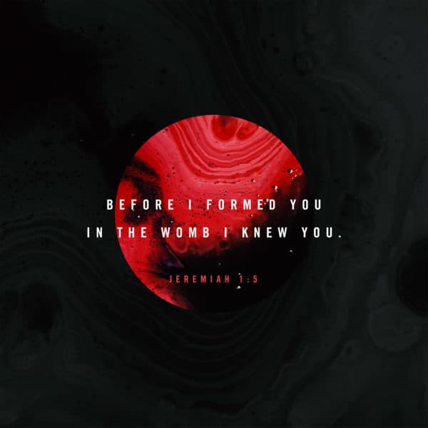 Before I formed you in the womb I knew you. - Jeremiah 1:5