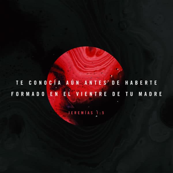 Te conocía aún antes de haberte formado en el vientre de tu madre - Jeremías 1:5